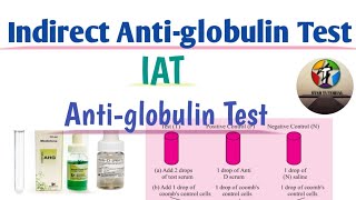 Indirect Antiglobulin Test in hindi ll Coombs Test ll Antiglobulin Test [upl. by Hapte]