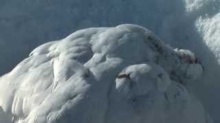 Ptarmigan Hunting [upl. by Girvin]