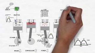 THE 4 STROKES OF AN ENGINE  Internal combustion cycle in detail [upl. by Aseretairam]