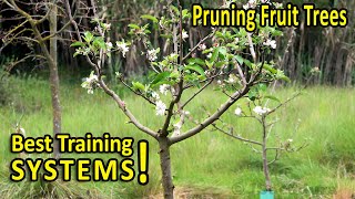 PRUNING FRUIT TREES  BEST SHAPES for SIZE and PRODUCTION [upl. by Cotsen]