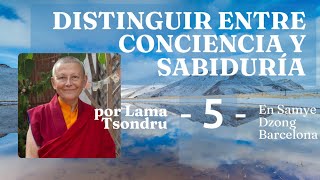 Distinguir entre Conciencia y Sabiduría  5  Por Lama Tsondru [upl. by Anairad]