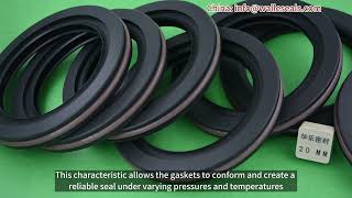 The Hardness of PTFE Sealing Gaskets [upl. by Nali]