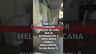 MELHOR MELADO DE CANA [upl. by Elleinet]