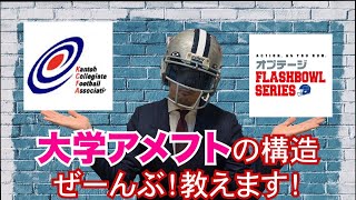 【アメフト】大学アメフトの構造を完全解説してみた！ [upl. by Leanard893]