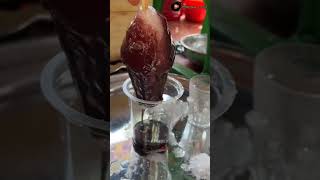 Ice gola।। Baraf ka gola।।food streetfood youtubeshorts viralshorts reels [upl. by Alema831]