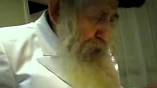 Tosher rebbe [upl. by Castara]