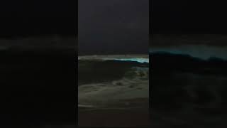 beach bioluminescence ocean nature palavakkam [upl. by Nahtam]