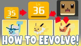 How To Evolve Eevee in Pokemon Quest ALL EEVOLUTIONS Vaporeon Jolteon amp Flareon Evolution Guide [upl. by Ainivad62]