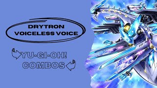 YuGiOh Drytron Voiceless Voice Combos 2024 Post Legacy of Destruction  TCG LEGAL DRYTRON 2024 [upl. by Aisyat113]