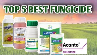 TOP 5 BEST FUNGICIDE  Vlog15 [upl. by Manvell]