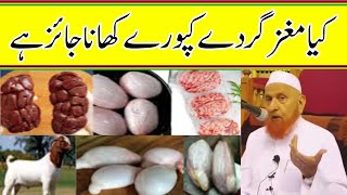 کیا مغز گردے کپورے کھانا جائز ہےمولانا مکی الحجازی مدینہ درسMadinaDars [upl. by Rokach]