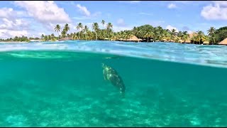 Kuredu Island  Maldives Vacation 2023 4k [upl. by Daffodil832]