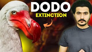 What Really Happened to the DODO Bird   Mehmood Trap [upl. by Etnoed198]