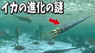 未だに解明できないイカの進化の謎【生物雑学】 [upl. by Lauren897]