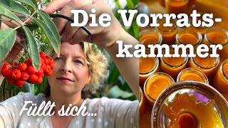 55 Spätsommer auf dem Land 🌻🍂 Gefüllter Käsekuchen im Glas 🥭 Ebereschen Mango Marmelade [upl. by Ris]