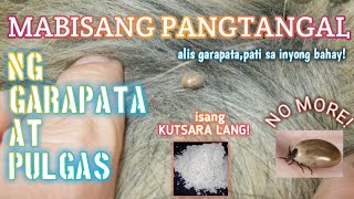 mabisangpangtangalnggarapata gamotnapamataygarapata  MABISANG PANGTANGAL AT PAMATAY GARAPATA [upl. by Silbahc]