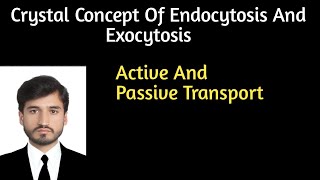 Endocytosis and exocytosis  Active and passive transport physiology [upl. by Hedwiga]