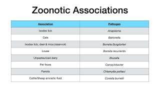 Microbiology Buzzwords amp Associations [upl. by Ule]