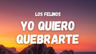 Los Felinos  Yo Quiero Quebrarte Letra TikTok Song  rosita baila quebradita [upl. by Hseyaj]