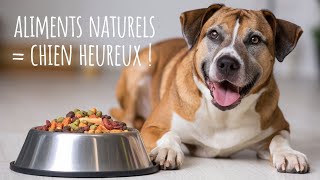 Découvrez comment les aliments naturels peuvent transformer la santé de votre chien [upl. by Schreiber]