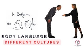 The Secret Language of Culture How Body Language Differs Across the Globe Culturalawareness [upl. by Ariaek]