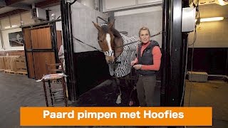 Paard pimpen met Hoofies  WINACTIE  PaardenpraatTV [upl. by Yrrad676]