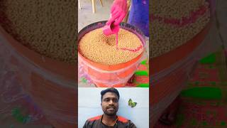 🤔விதை நேர்த்தி மெஷின்⁉️  Seed Treatment Machine 💯 trending seedtreatment statisfying yt shorts [upl. by Chadbourne408]