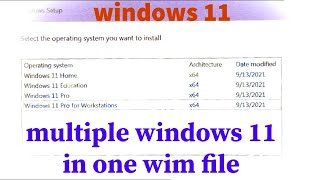 Multiple ISO File Versions of Windows 11 in One WIM File [upl. by Shiekh197]