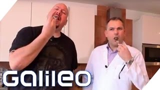 Jumbo Schreiner Der große Nudelcheck  Galileo  ProSieben [upl. by Tomas]