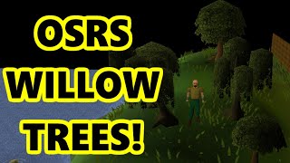 Where To Find Willow Trees In OSRS For Fresh Start Worlds [upl. by Raimes]