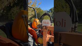 Orchard Days is here Find out about fall Filoli fun at filoliorgorcharddays [upl. by Haianeb]