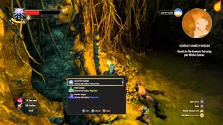 The Witcher 3 Contract Muire DYaeblen  Quest Walkthrough [upl. by Publia]