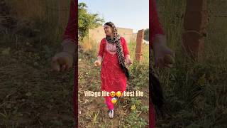 song nasreenindian villagelife viralvideo [upl. by Elyad338]