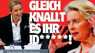 💥Alice Weidel WARNT BrexitKrise trifft Deutschland – Scharfe ABRECHNUNG mit der EUBürokratie💥 [upl. by Akinoj148]