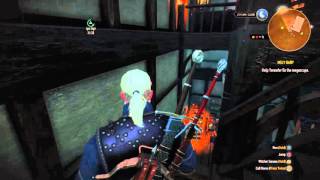 Enhanced Feline trousers location Well explained English  The Witcher 3 [upl. by Wetzell]