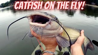 Channel Catfish on the Deceptive Diver Bass Fly  July 2022  The Fly Guy [upl. by Linus]