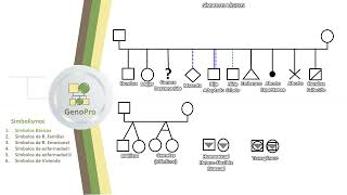 genograma en genopro [upl. by Chard]