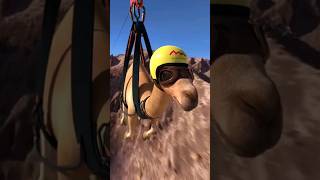 Camel on ZipLine First time in History camel zipline viral [upl. by Adnohr586]