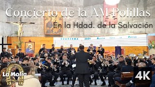 4K Concierto de la AM Polillas en la Hdad de la Salvación Jerez de la Frontera [upl. by Qifahs]