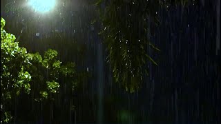 Rain on tin roof and Thunder Sounds 247  Dark Screen  Thunderstorm for Sleeping  Pure Relaxing [upl. by Sylram895]