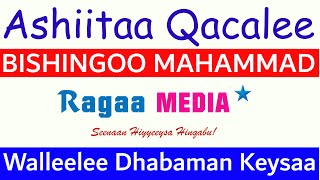 Ashiitaa Qacalee  Bishingoo Mahammad  Walleelee Afaan Oromoo Kanneen Dhabaman Keeysaa ragaamedia [upl. by Jory]