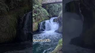 Brewery Park Tumwater Fallsfishjumpshortstravel [upl. by Remmer901]