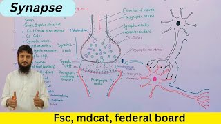 Synapse  synapse and neurotransmitters  class 12  Urduhindi [upl. by Munshi]