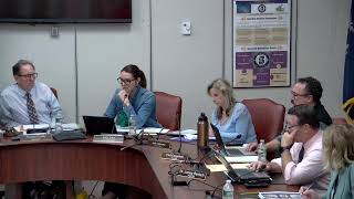 Sayville BOE Meeting 372024 [upl. by Ecnirp]