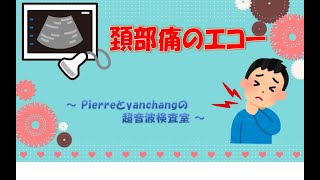 頸部痛のエコー 【pierreとyanchangの超音波検査室】 ～雑談～ [upl. by Greenlee931]