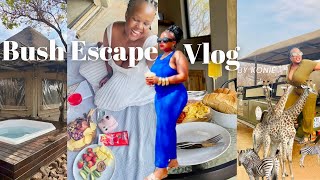 TRAVEL VLOG Bush Escape Safari Lodge Dinokeng Room Tour Painting amp Picnic Braai Game Drive SA [upl. by Eaj]