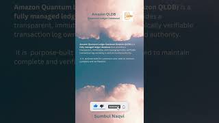 AWS Amazon QLDB Quantum Ledger Database aws certification exam ccp saa database [upl. by Lona634]