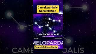 Camelopardalis Constellation youtubeshorts shorts celestialspacefacts [upl. by Stefanie]