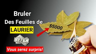 La Meilleure Façon de Brûler des Feuilles de LAURIER  Attirer lArgent 🤑 [upl. by Farnham]