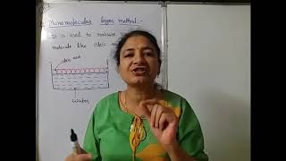 Physics class 11 Units and measurement  determination of molecular size of oleic acid [upl. by Chery]